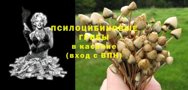 ALPHA PVP Алексин