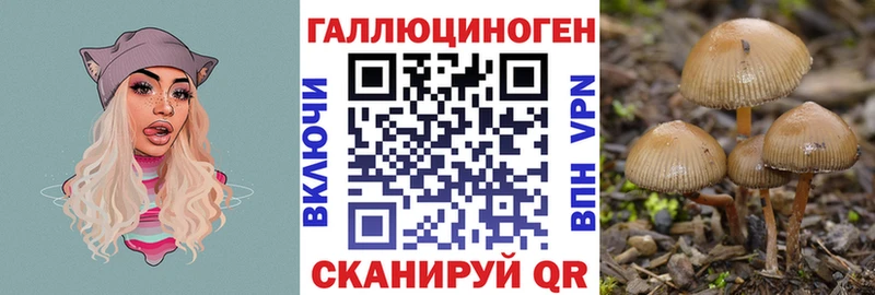 Галлюциногенные грибы Cubensis Нюрба